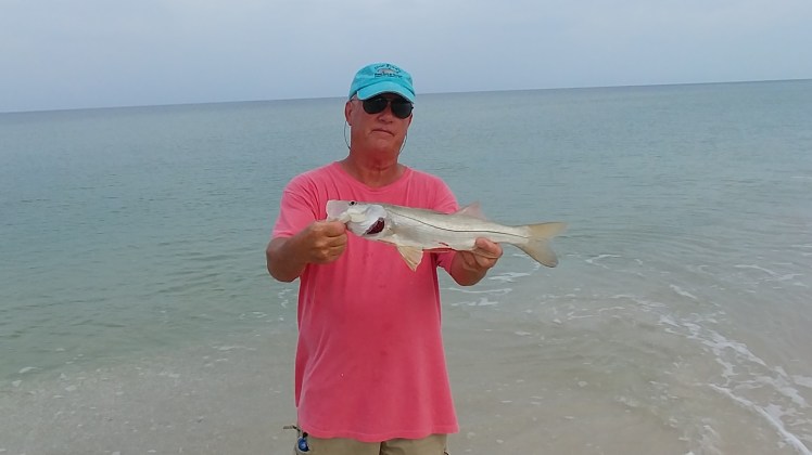 Beach Snook